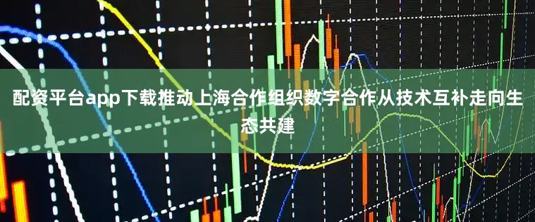 配资平台app下载推动上海合作组织数字合作从技术互补走向生态共建