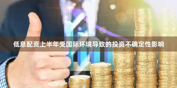 低息配资上半年受国际环境导致的投资不确定性影响
