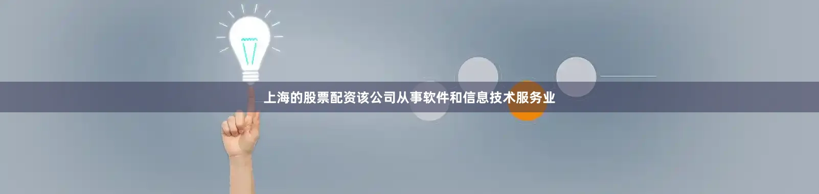 上海的股票配资该公司从事软件和信息技术服务业
