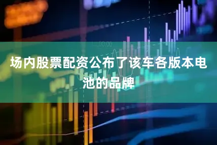 场内股票配资公布了该车各版本电池的品牌